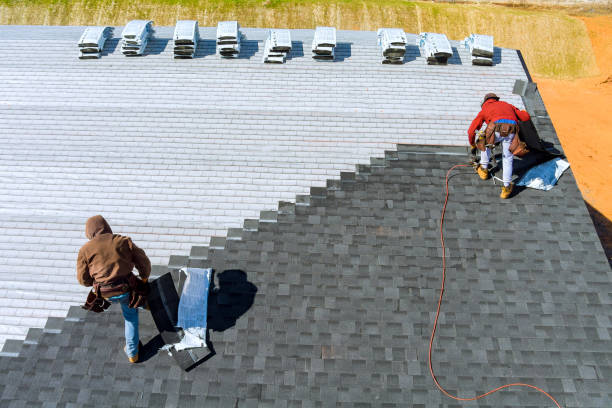 Best Local Roofing Companies  in Gorevle, IL
